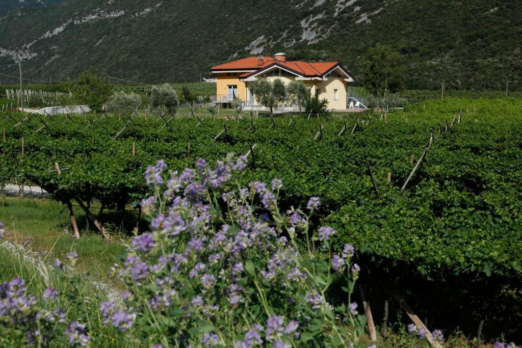 Appartamenti Al Vigneto Дро Екстер'єр фото